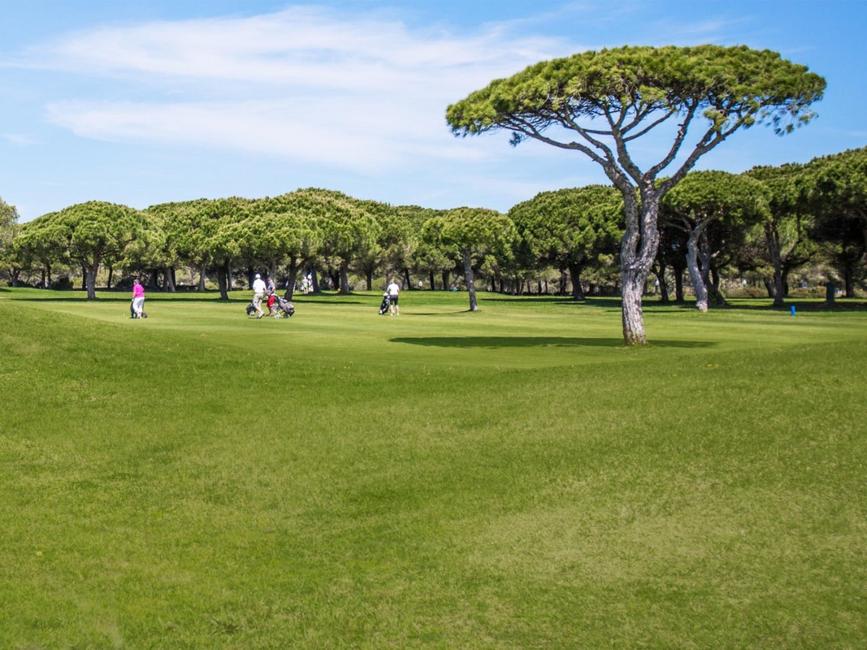 Campo de golf del Hotel Vincci Costa Golf